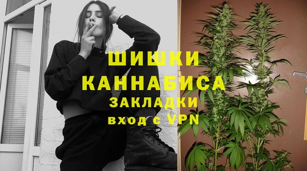 mdpv Белокуриха