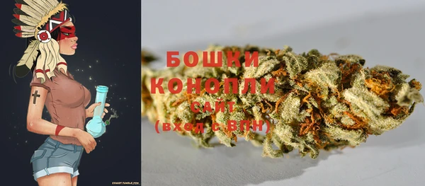mdpv Белокуриха