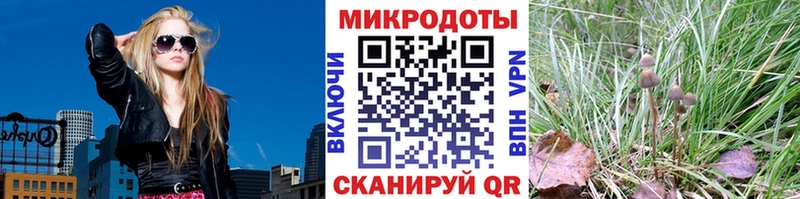 hydra ссылка  Корсаков  Псилоцибиновые грибы мухоморы  хочу наркоту 